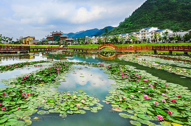 《德江煎茶鎮新農村》